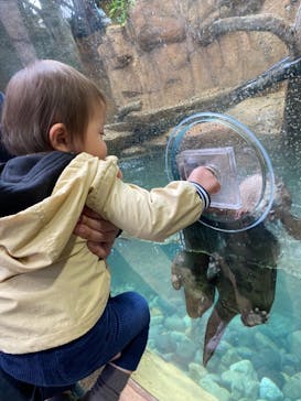 那須どうぶつ王国に投稿された画像（2021/3/6）