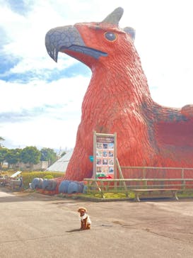 伊豆シャボテン動物公園に投稿された画像（2021/3/6）