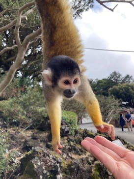 伊豆シャボテン動物公園に投稿された画像（2021/3/6）