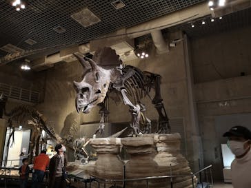 国立科学博物館に投稿された画像（2021/3/6）