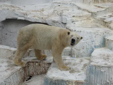 天王寺動物園に投稿された画像（2021/3/6）
