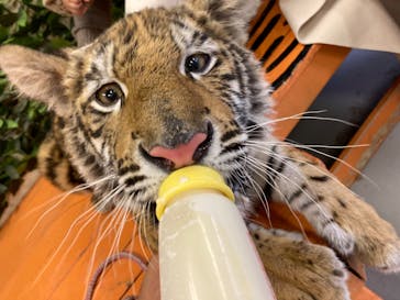 しろとり動物園に投稿された画像（2021/3/6）