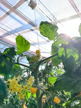 くらもとファームに投稿された画像（2021/3/6）