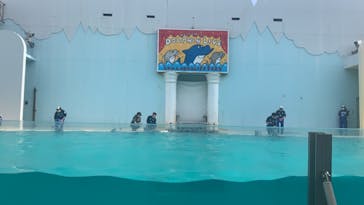 株式会社Gに投稿された画像（2021/3/6）