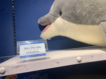 株式会社Gに投稿された画像（2021/3/6）