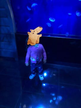 サンシャイン水族館に投稿された画像（2021/3/6）