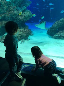 サンシャイン水族館に投稿された画像（2021/3/6）