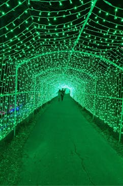 さがみ湖MORI MORIに投稿された画像（2021/3/6）