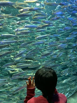 サンシャイン水族館に投稿された画像（2021/3/6）