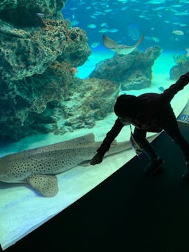 サンシャイン水族館に投稿された画像（2021/3/6）