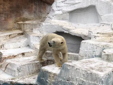 天王寺動物園に投稿された画像（2021/3/6）