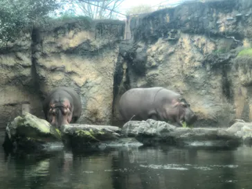 天王寺動物園に投稿された画像（2021/3/6）