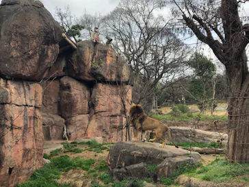 天王寺動物園に投稿された画像（2021/3/6）