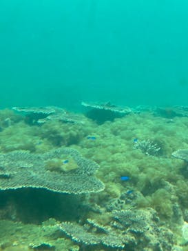 串本海中公園水族館に投稿された画像（2021/3/6）