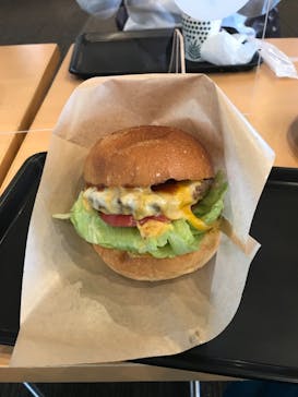 鹿島槍スキー場 ファミリーパークに投稿された画像（2021/3/6）