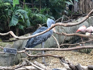 那須どうぶつ王国に投稿された画像（2021/3/6）