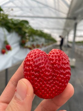 伊賀の里モクモク手づくりファームに投稿された画像（2021/3/6）