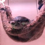 マクセル アクアパーク品川に投稿された画像（2021/3/7）