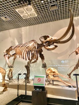 国立科学博物館に投稿された画像（2021/3/6）