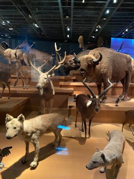 国立科学博物館に投稿された画像（2021/3/6）