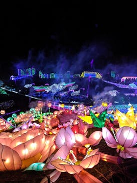 伊豆ぐらんぱる公園に投稿された画像（2021/3/7）