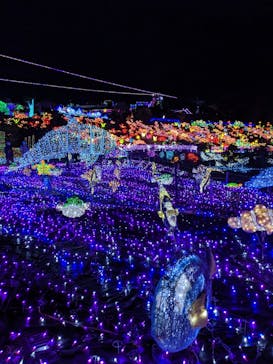 伊豆ぐらんぱる公園に投稿された画像（2021/3/7）