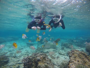 武藤潜水に投稿された画像（2021/3/7）