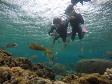 武藤潜水に投稿された画像（2021/3/7）