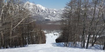 戸隠スキー場に投稿された画像（2021/3/7）