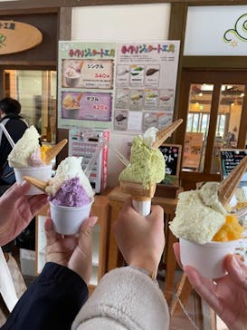 松阪農業公園ベルファームに投稿された画像（2021/3/7）