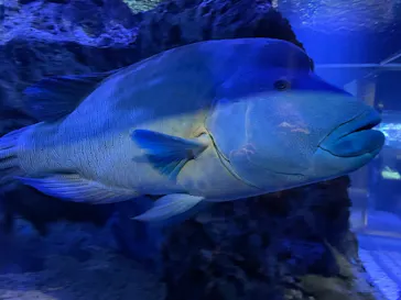 すみだ水族館に投稿された画像（2021/3/7）