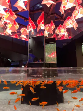 すみだ水族館に投稿された画像（2021/3/7）