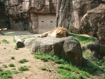 天王寺動物園に投稿された画像（2021/3/7）