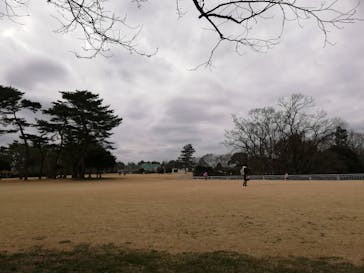 千葉こどもの国 キッズダムに投稿された画像（2021/3/7）