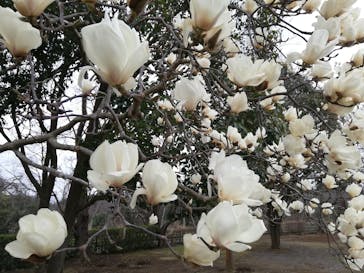 千葉こどもの国 キッズダムに投稿された画像（2021/3/7）