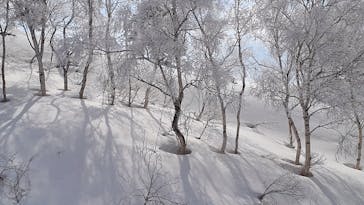 斑尾高原スキー場に投稿された画像（2021/3/7）