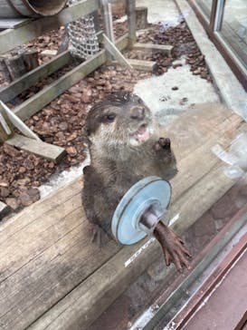横浜・八景島シーパラダイスに投稿された画像（2021/3/7）
