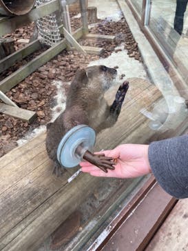 横浜・八景島シーパラダイスに投稿された画像（2021/3/7）