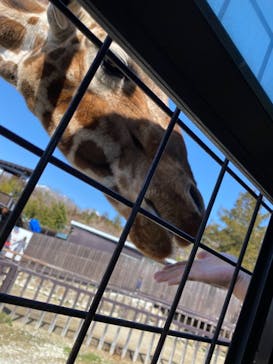 那須サファリパークに投稿された画像（2021/3/7）