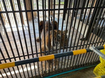 那須サファリパークに投稿された画像（2021/3/7）