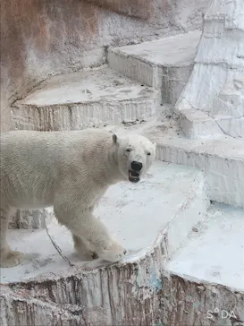 天王寺動物園に投稿された画像（2021/3/7）