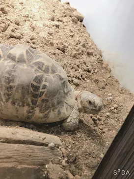 天王寺動物園に投稿された画像（2021/3/7）