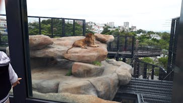 沖縄こどもの国に投稿された画像（2021/3/7）