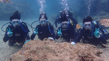 ダイビングショップ Sea Free（シーフリー）に投稿された画像（2021/3/7）