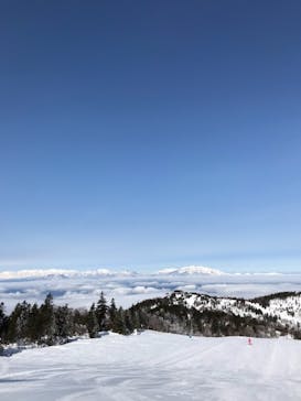 志賀高原中央エリアスキー場に投稿された画像（2021/3/7）