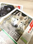 天王寺動物園に投稿された画像（2021/3/7）