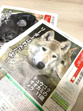 天王寺動物園に投稿された画像（2021/3/7）