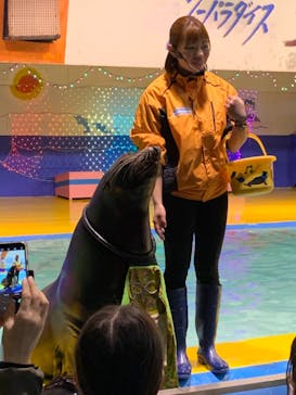ゼロ距離水族館 伊勢シーパラダイスに投稿された画像（2021/3/7）