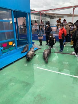 ゼロ距離水族館 伊勢シーパラダイスに投稿された画像（2021/3/7）