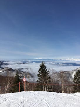 志賀高原焼額山スキー場に投稿された画像（2021/3/7）